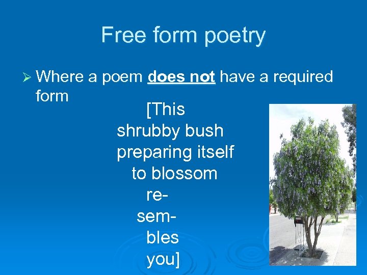 Free form poetry Ø Where a poem does not have a required form [This