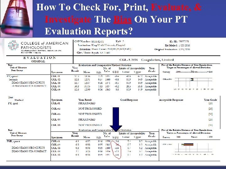 How To Check For, Print, Evaluate, & Investigate The Bias On Your PT Evaluation