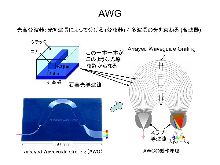 AWG 光合分波器: 光を波長によって分ける (分波器) / 多波長の光を束ねる (合波器) クラッド コア 0. 5 mm この一本一本が このような光導