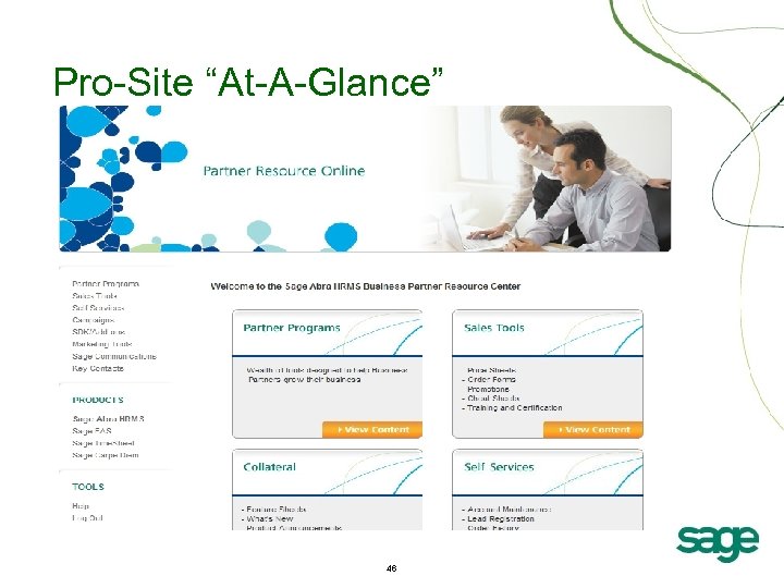 Pro-Site “At-A-Glance” 46 
