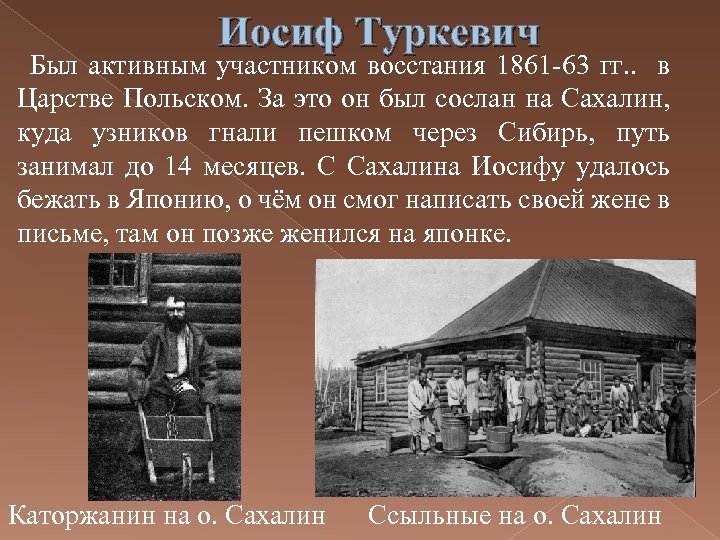 Иосиф Туркевич Был активным участником восстания 1861 -63 гг. . в Царстве Польском. За