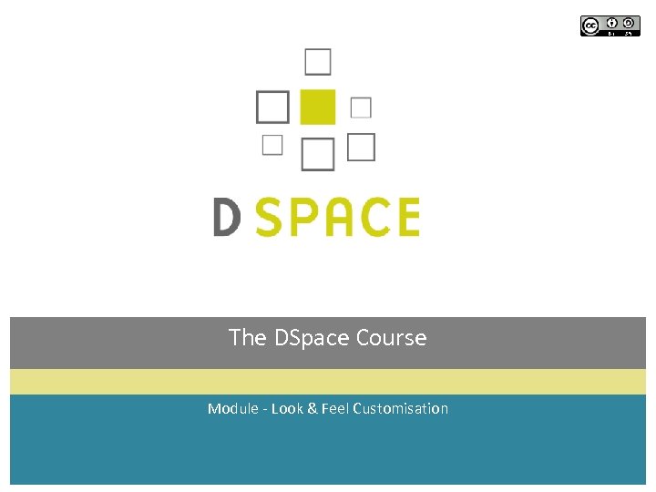 The DSpace Course Module - Look & Feel Customisation 