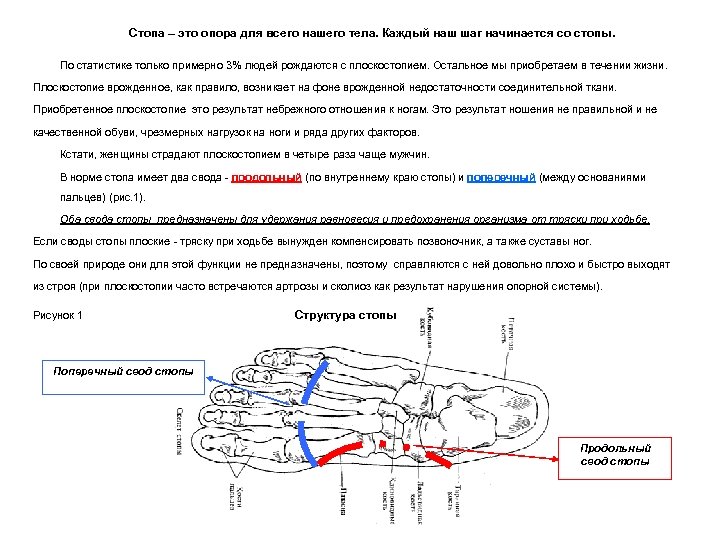 Стопа – это опора для всего нашего тела. Каждый наш шаг начинается со стопы.