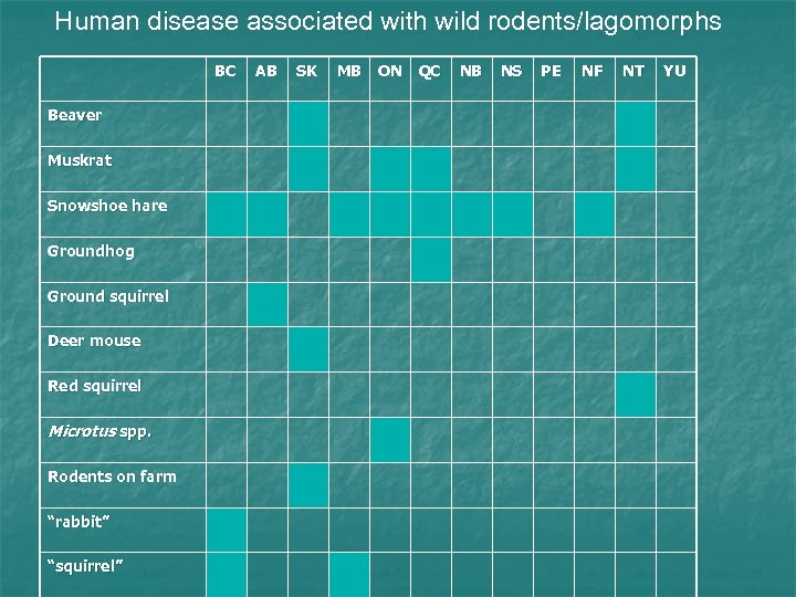 Human disease associated with wild rodents/lagomorphs BC Beaver Muskrat Snowshoe hare Groundhog Ground squirrel