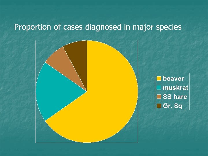 Proportion of cases diagnosed in major species 