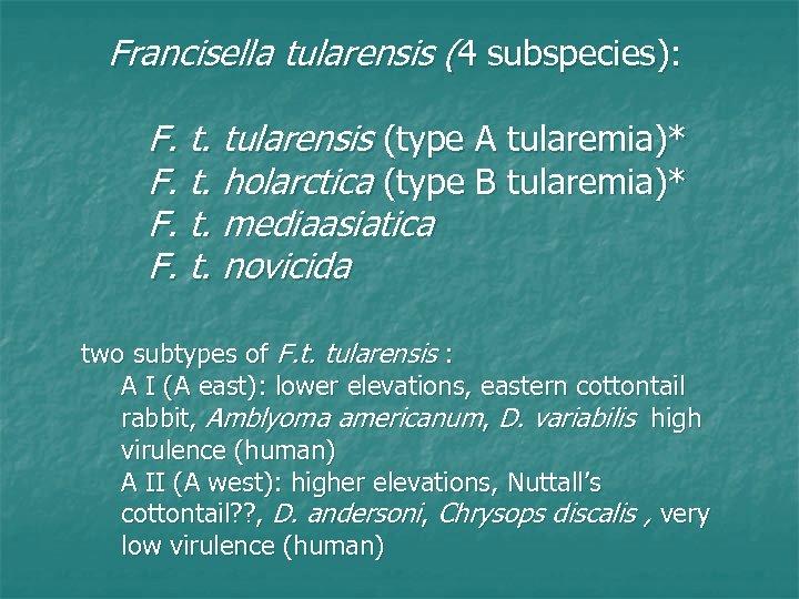 Francisella tularensis (4 subspecies): F. t. tularensis (type A tularemia)* F. t. holarctica (type