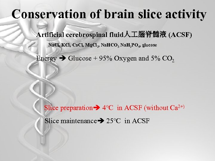 Conservation of brain slice activity Artificial cerebrospinal fluid人 腦脊髓液 (ACSF) Na. Cl, KCl, Ca.