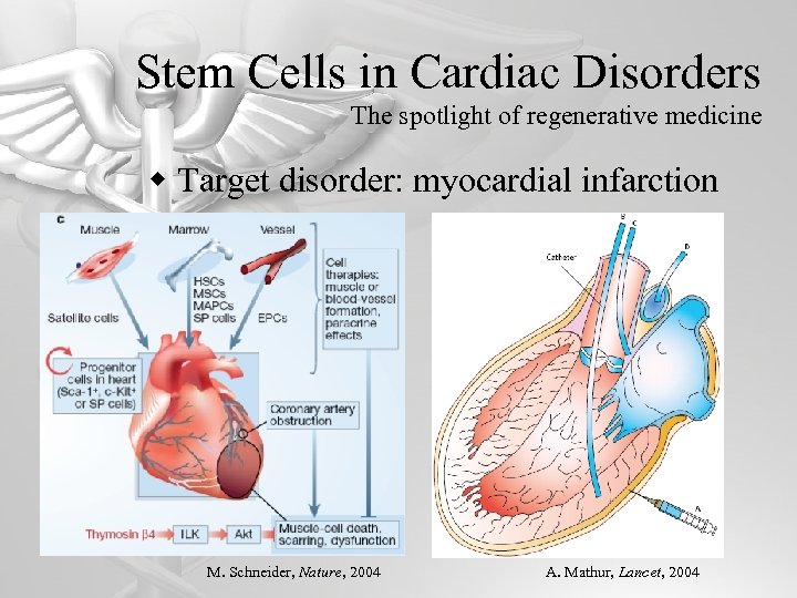 Stem Cells in Cardiac Disorders The spotlight of regenerative medicine w Target disorder: myocardial