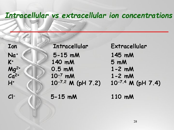 Intracellular vs extracellular ion concentrations Ion Intracellular Extracellular Na+ K+ Mg 2+ Ca 2+