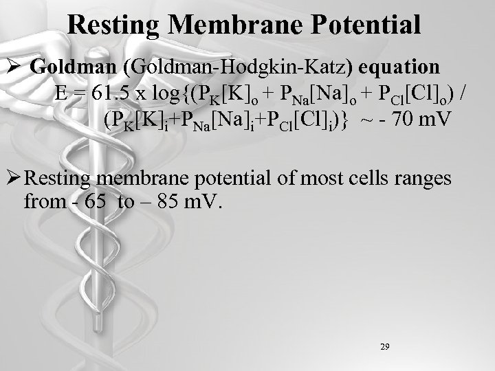Resting Membrane Potential Ø Goldman (Goldman-Hodgkin-Katz) equation E = 61. 5 x log{(PK[K]o +