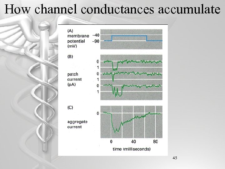 How channel conductances accumulate 45 