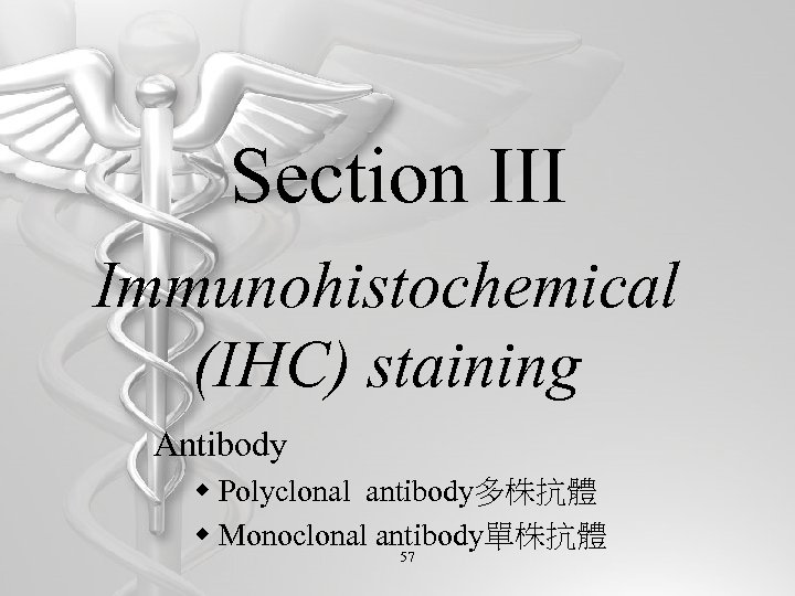 Section III Immunohistochemical (IHC) staining Antibody w Polyclonal antibody多株抗體 w Monoclonal antibody單株抗體 57 
