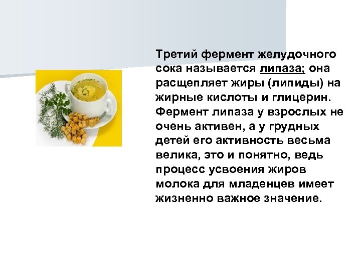 Третий фермент желудочного сока называется липаза; она расщепляет жиры (липиды) на жирные кислоты и