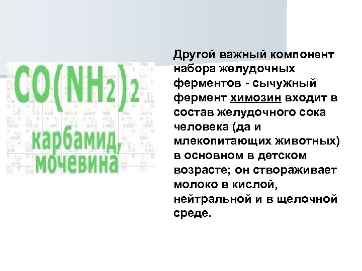 Другой важный компонент набора желудочных ферментов - сычужный фермент химозин входит в состав желудочного