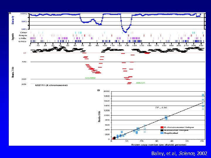 Bailey, et al, Science, 2002 