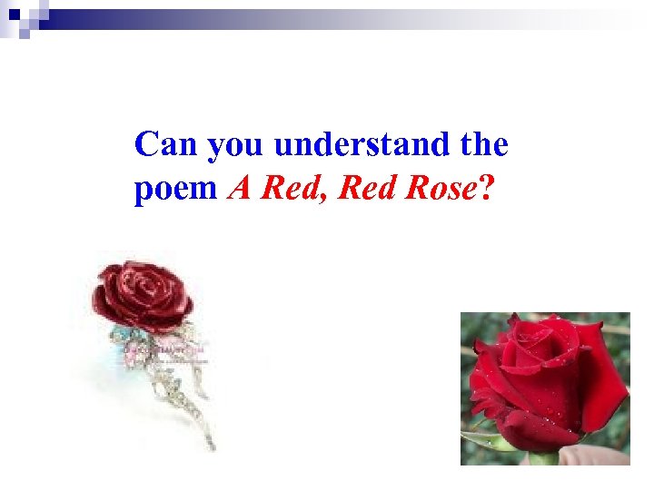 Can you understand the poem A Red, Red Rose? 