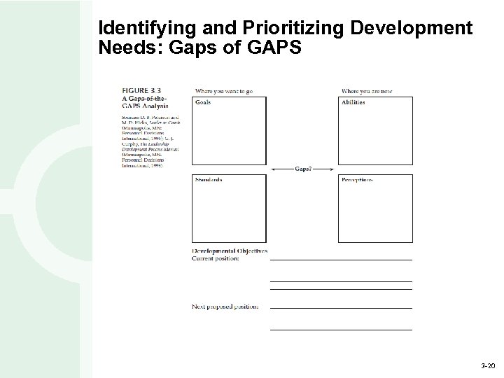 Identifying and Prioritizing Development Needs: Gaps of GAPS 3 -20 