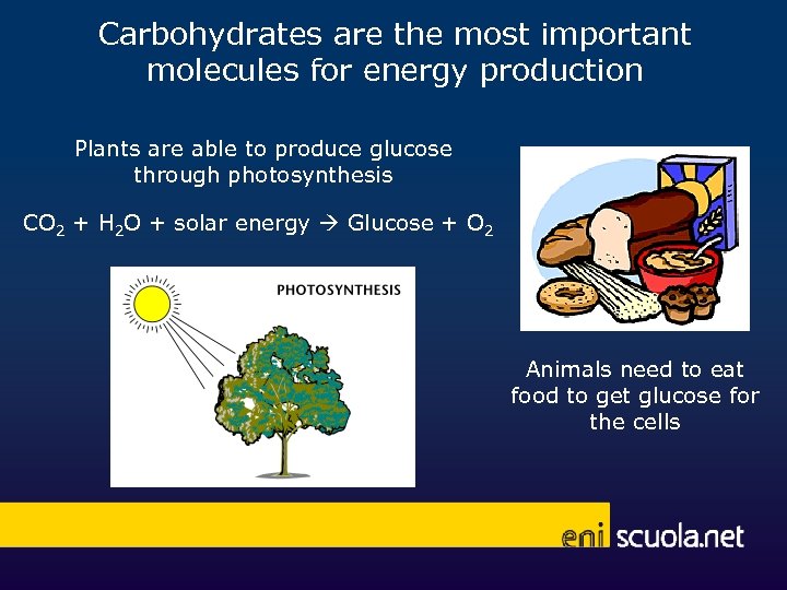 Carbohydrates are the most important molecules for energy production Plants are able to produce