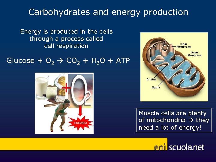 Carbohydrates and energy production Energy is produced in the cells through a process called