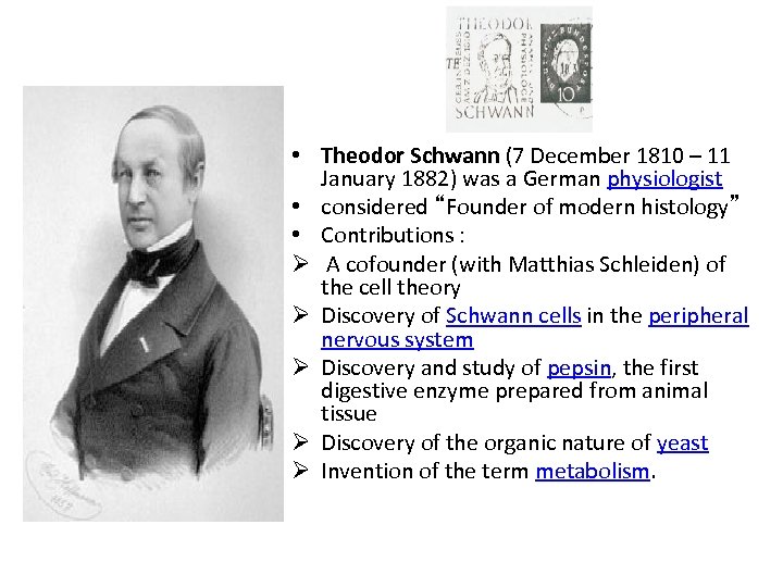  • Theodor Schwann (7 December 1810 – 11 January 1882) was a German