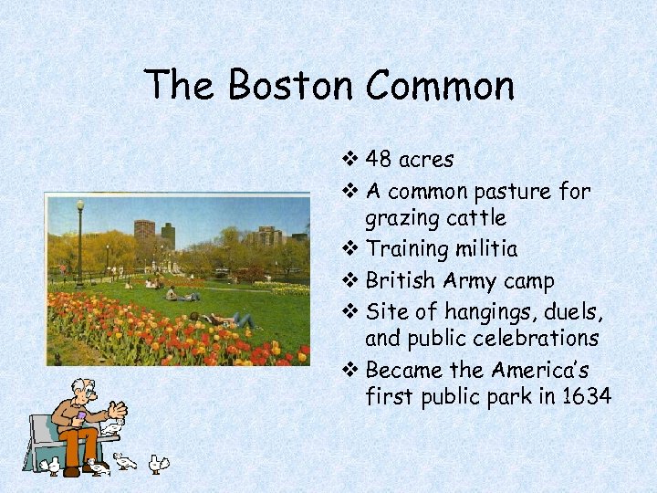 The Boston Common v 48 acres v A common pasture for grazing cattle v