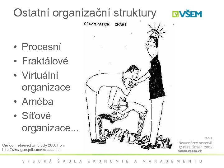 Ostatní organizační struktury • Procesní • Fraktálové • Virtuální organizace • Améba • Síťové