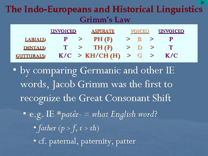The Indo-Europeans and Historical Linguistics Grimm’s Law UNVOICED LABIALS: DENTALS: GUTTURALS: P T K/C