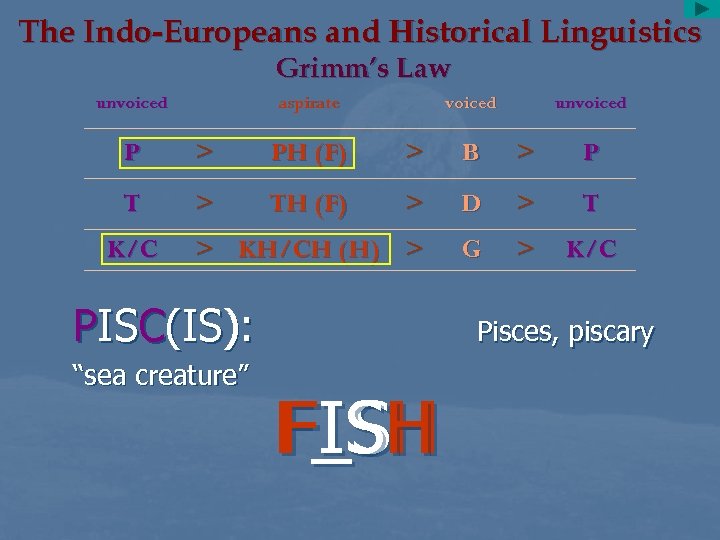 The Indo-Europeans and Historical Linguistics Grimm’s Law unvoiced aspirate voiced unvoiced P > PH