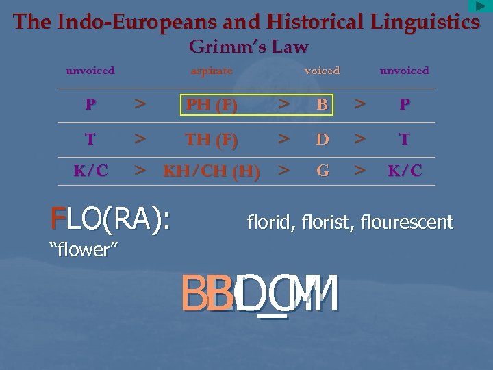 The Indo-Europeans and Historical Linguistics Grimm’s Law unvoiced aspirate voiced unvoiced P > PH