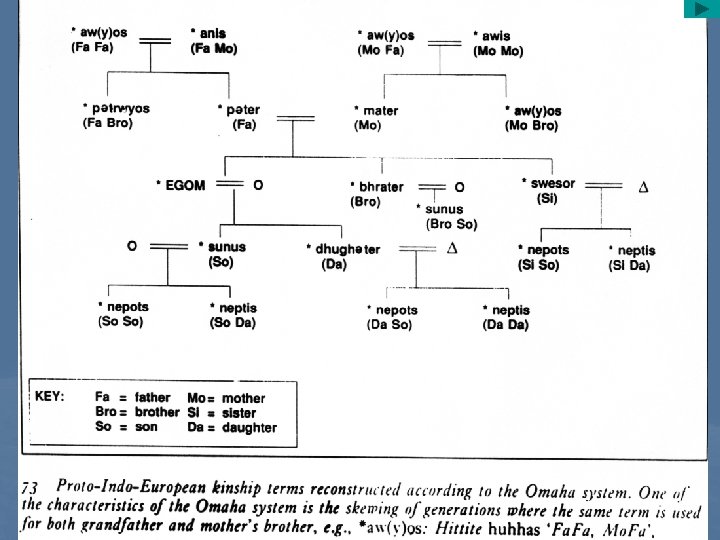 The Indo-Europeans and Historical Linguistics The Indo-Europeans: History and Culture What We Know About