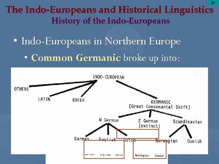 The Indo-Europeans and Historical Linguistics History of the Indo-Europeans • Indo-Europeans in Northern Europe
