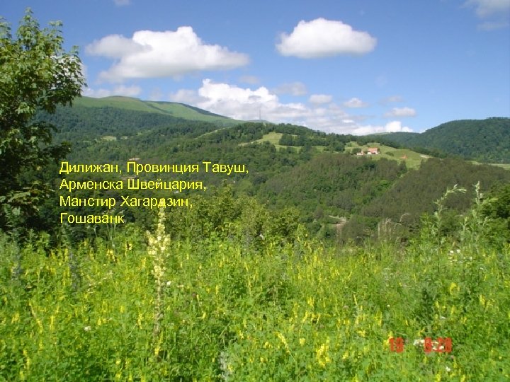 Дилижан, Провинция Тавуш, Арменска Швейцария, Манстир Хагардзин, Гошаванк 