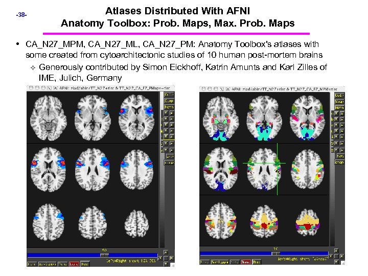 -38 - Atlases Distributed With AFNI Anatomy Toolbox: Prob. Maps, Max. Prob. Maps •