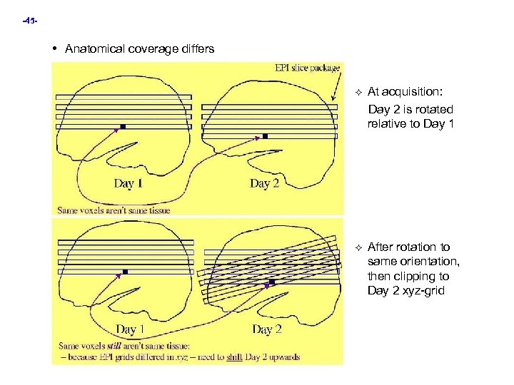 -45 - • Anatomical coverage differs At acquisition: Day 2 is rotated relative to