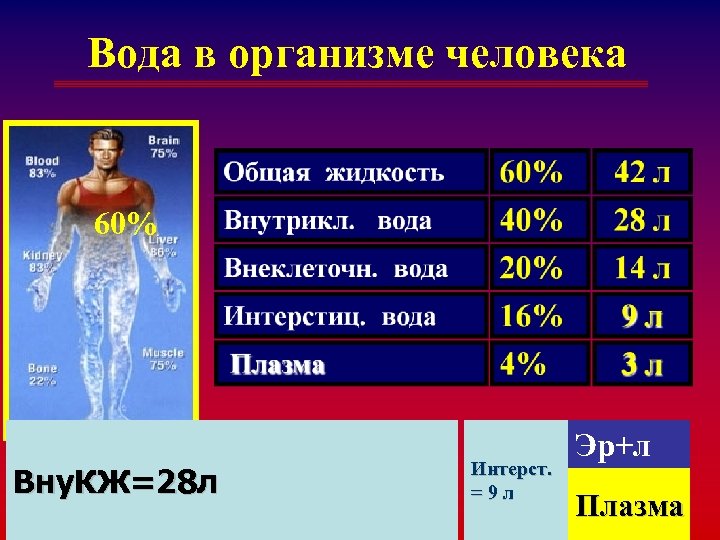 Вода в организме человека 60% Вну. КЖ=28 л 3/17/2018 Интерст. =9 л Эр+л Плазма