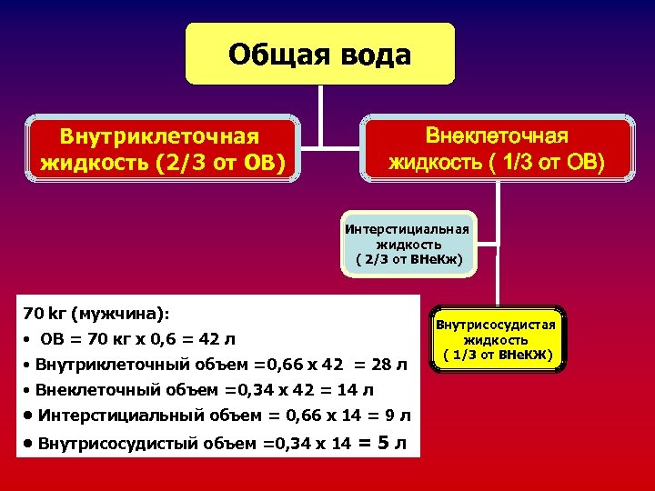 Общая вода Внеклеточная жидкость ( 1/3 от ОВ) Внутриклеточная жидкость (2/3 от ОВ) Интерстициальная