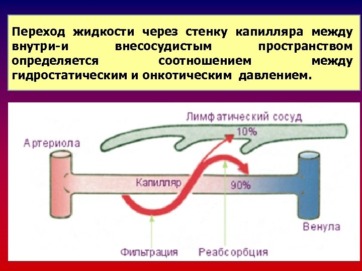 Переход жидкости через стенку капилляра между внутри-и внесосудистым пространством определяется соотношением между гидростатическим и