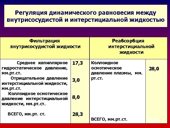 Регуляция динамического равновесия между внутрисосудистой и интерстициальной жидкостью Фильтрация внутрисосудистой жидкости Среднее капиллярное гидростатическое