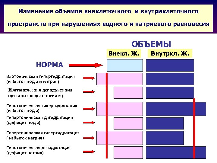 Изменение объемов внеклеточного и внутриклеточного пространств при нарушениях водного и натриевого равновесия ОБЪЕМЫ Внекл.