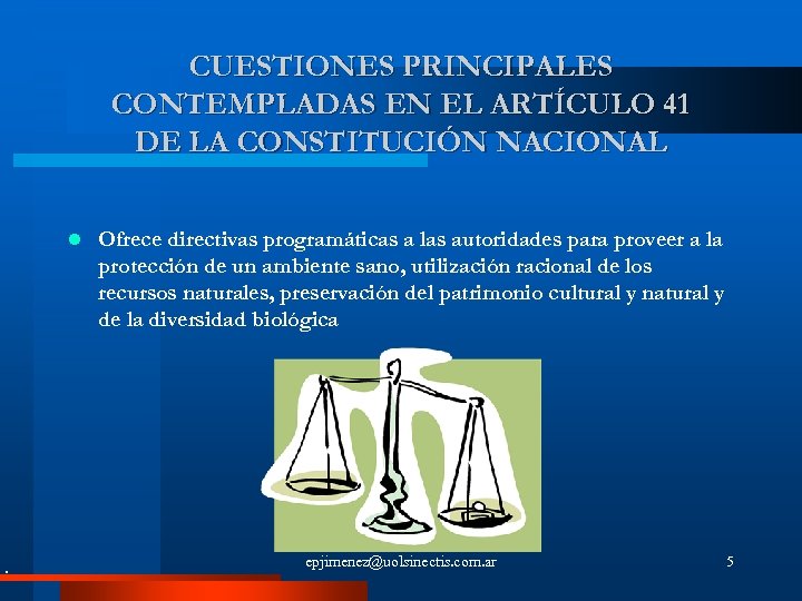 CUESTIONES PRINCIPALES CONTEMPLADAS EN EL ARTÍCULO 41 DE LA CONSTITUCIÓN NACIONAL l Ofrece directivas