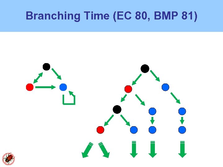 Branching Time (EC 80, BMP 81) 