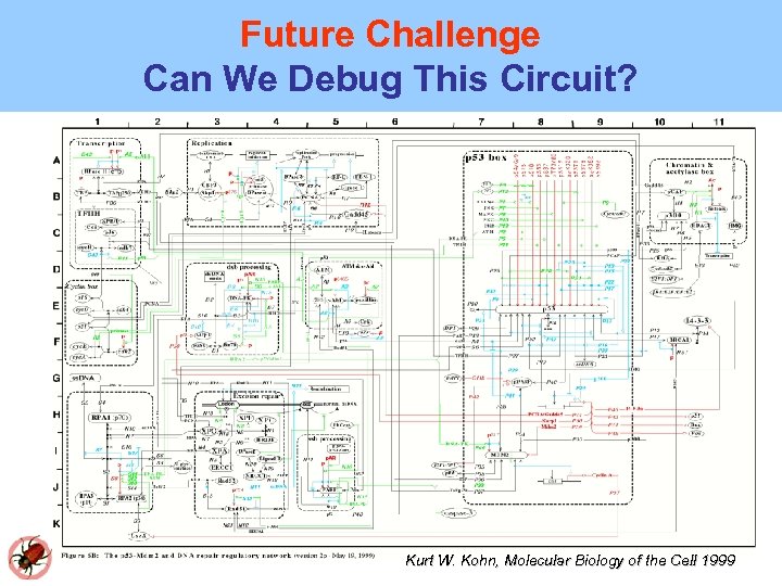 Future Challenge Can We Debug This Circuit? Kurt W. Kohn, Molecular Biology of the