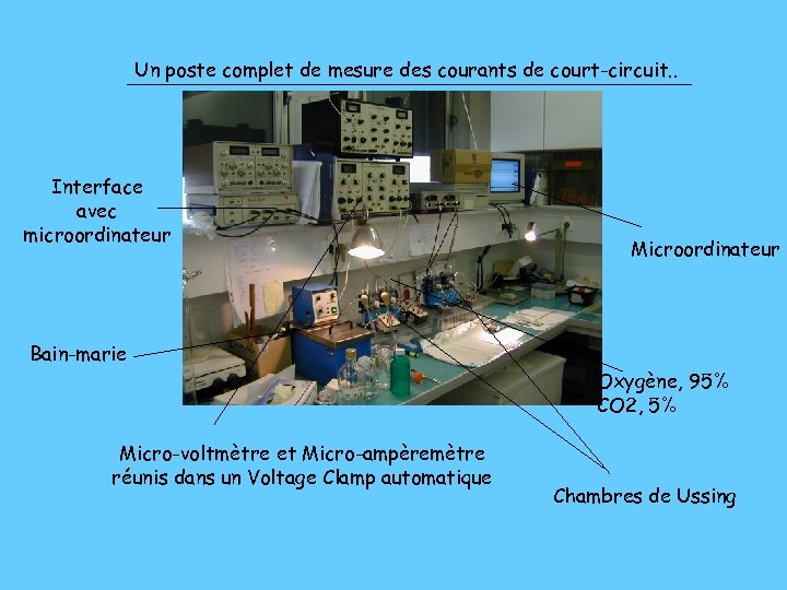 Un poste complet de mesure des courants de court-circuit. . Interface avec microordinateur Bain-marie