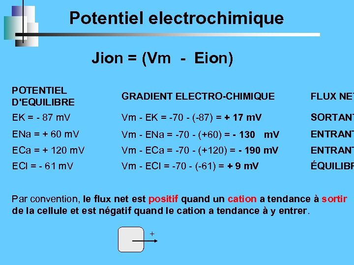 Potentiel electrochimique Jion = (Vm - Eion) POTENTIEL D'EQUILIBRE GRADIENT ELECTRO-CHIMIQUE FLUX NET EK