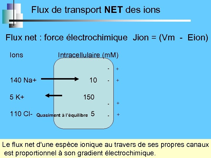 Flux de transport NET des ions Flux net : force électrochimique Jion = (Vm