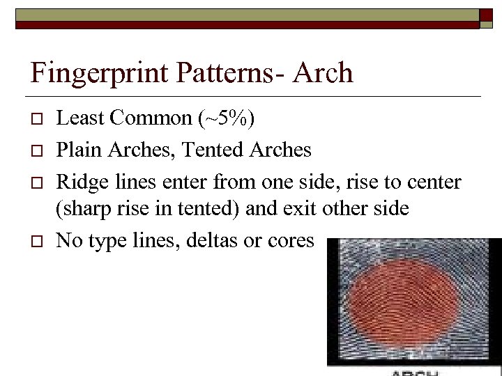 Fingerprint Patterns- Arch o o Least Common (~5%) Plain Arches, Tented Arches Ridge lines