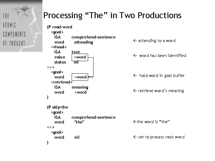 Processing “The” in Two Productions (P read-word =goal> ISA comprehend-sentence word attending =visual> ISA