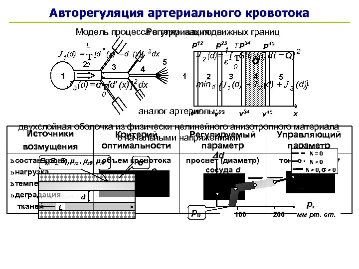 Авторегуляция артериального кровотока Регуляризация Модель процесса в терминах подвижных границ J 1 (d) =