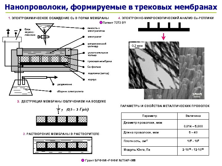 Нанопроволоки, формируемые в трековых мембранах 4. ЭЛЕКТРОННО-МИКРОСКОПИЧЕСКИЙ АНАЛИЗ Сu-РЕПЛИКИ 1. ЭЛЕКТРОХИМИЧЕСКОЕ ОСАЖДЕНИЕ Сu В