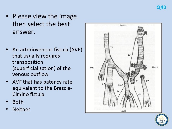 Q 40 • Please view the image, then select the best answer. • An